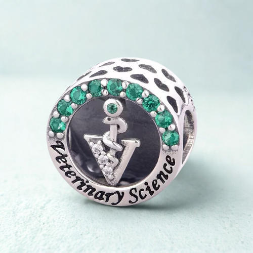 Charm Veterinary Doctor in Argento con Zirconi Verdi
