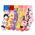 6 Calzini Kitty Joy